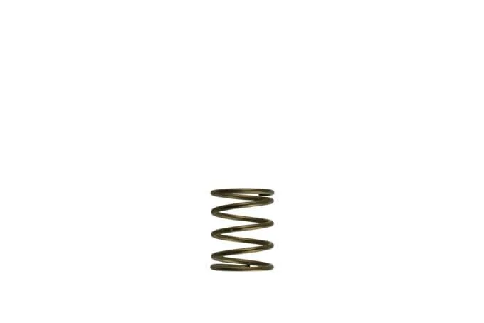 neverenoughauto-5202606211549121504422